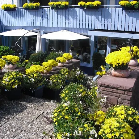 Sonnenhof Garni Hotel Bad Herrenalb